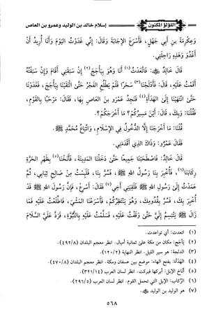 اللؤلؤ المكنون في سيرة النبي المأمون