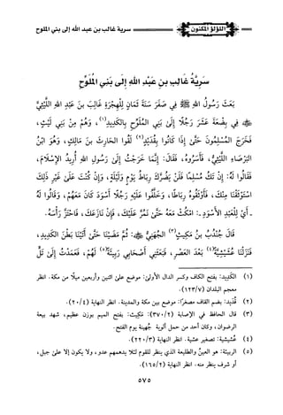 اللؤلؤ المكنون في سيرة النبي المأمون