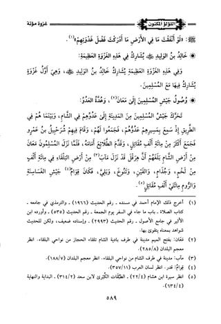 اللؤلؤ المكنون في سيرة النبي المأمون