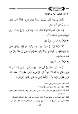 اللؤلؤ المكنون في سيرة النبي المأمون