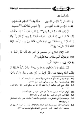 اللؤلؤ المكنون في سيرة النبي المأمون