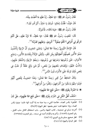 اللؤلؤ المكنون في سيرة النبي المأمون