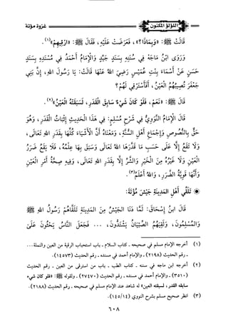 اللؤلؤ المكنون في سيرة النبي المأمون