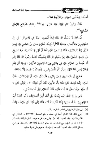 اللؤلؤ المكنون في سيرة النبي المأمون