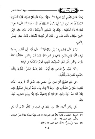 اللؤلؤ المكنون في سيرة النبي المأمون