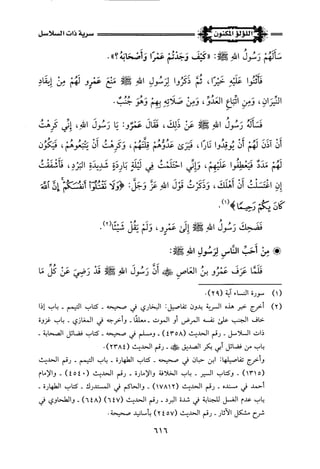 اللؤلؤ المكنون في سيرة النبي المأمون