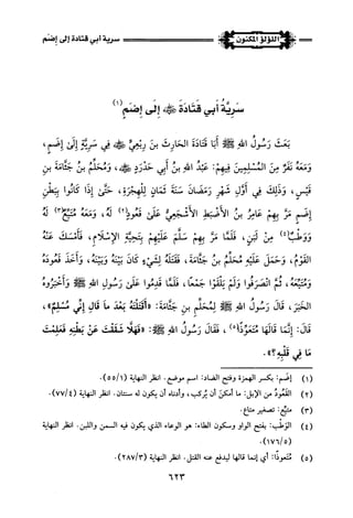 اللؤلؤ المكنون في سيرة النبي المأمون