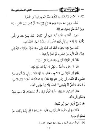 اللؤلؤ المكنون في سيرة النبي المأمون