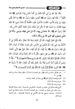 اللؤلؤ المكنون في سيرة النبي المأمون