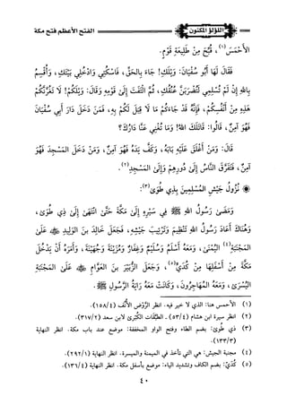 اللؤلؤ المكنون في سيرة النبي المأمون