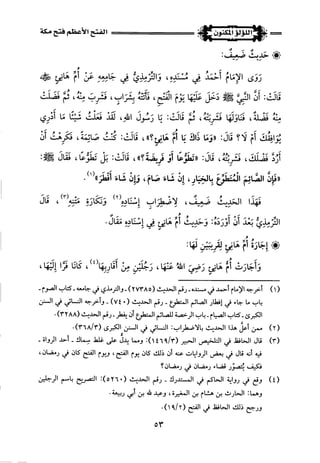 اللؤلؤ المكنون في سيرة النبي المأمون