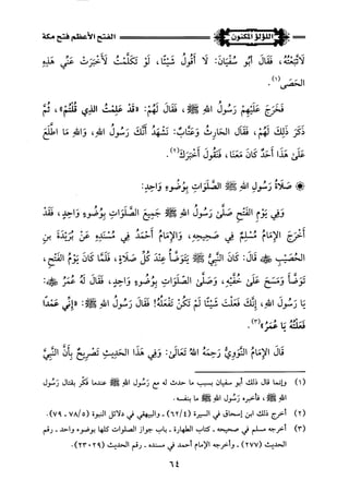 اللؤلؤ المكنون في سيرة النبي المأمون