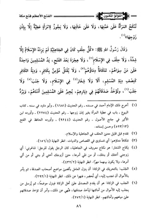 اللؤلؤ المكنون في سيرة النبي المأمون