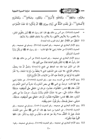 اللؤلؤ المكنون في سيرة النبي المأمون