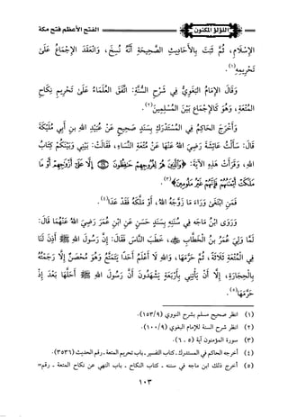 اللؤلؤ المكنون في سيرة النبي المأمون