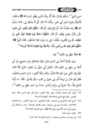 اللؤلؤ المكنون في سيرة النبي المأمون