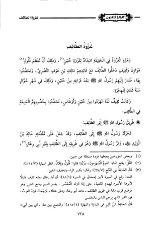 اللؤلؤ المكنون في سيرة النبي المأمون