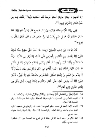 اللؤلؤ المكنون في سيرة النبي المأمون