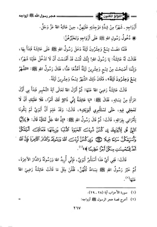 اللؤلؤ المكنون في سيرة النبي المأمون