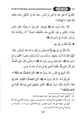 اللؤلؤ المكنون في سيرة النبي المأمون