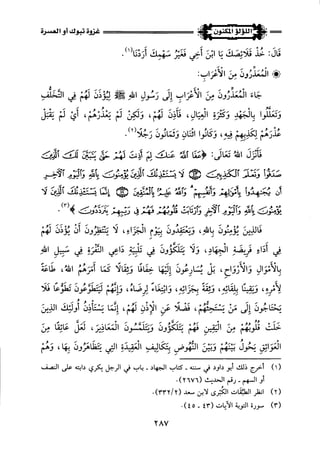 اللؤلؤ المكنون في سيرة النبي المأمون