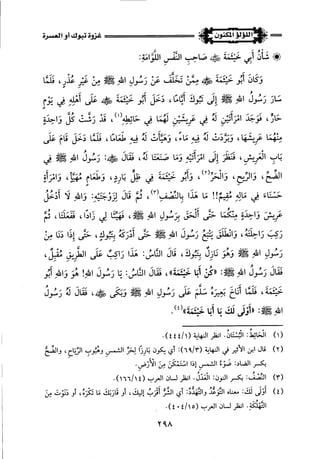 اللؤلؤ المكنون في سيرة النبي المأمون