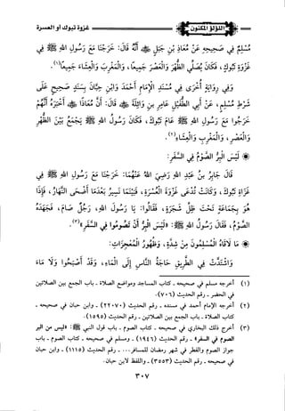 اللؤلؤ المكنون في سيرة النبي المأمون