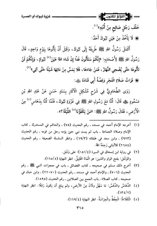 اللؤلؤ المكنون في سيرة النبي المأمون