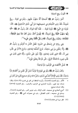 اللؤلؤ المكنون في سيرة النبي المأمون