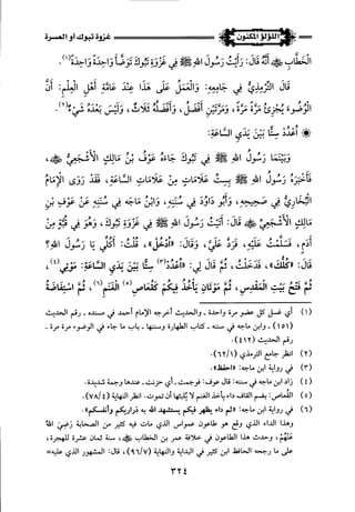 اللؤلؤ المكنون في سيرة النبي المأمون