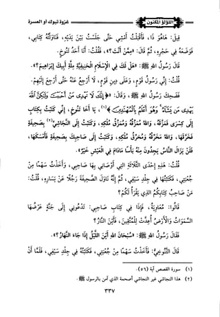 اللؤلؤ المكنون في سيرة النبي المأمون