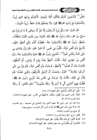 اللؤلؤ المكنون في سيرة النبي المأمون