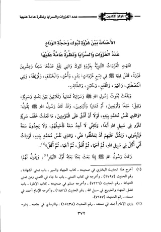 اللؤلؤ المكنون في سيرة النبي المأمون