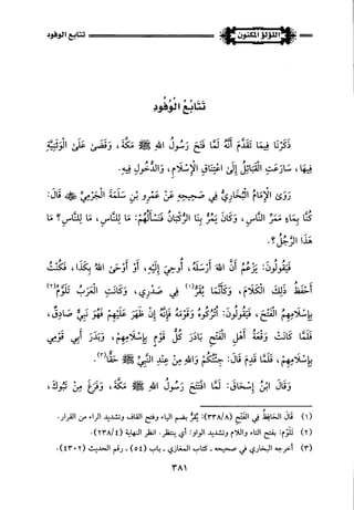 اللؤلؤ المكنون في سيرة النبي المأمون