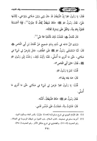 اللؤلؤ المكنون في سيرة النبي المأمون