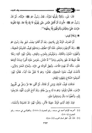 اللؤلؤ المكنون في سيرة النبي المأمون