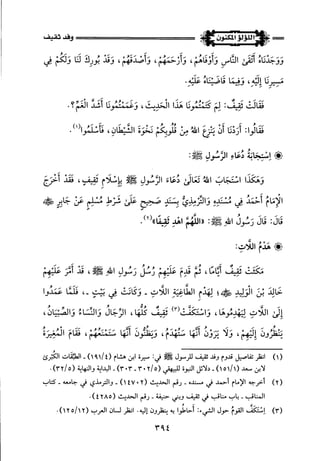 اللؤلؤ المكنون في سيرة النبي المأمون