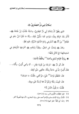 اللؤلؤ المكنون في سيرة النبي المأمون