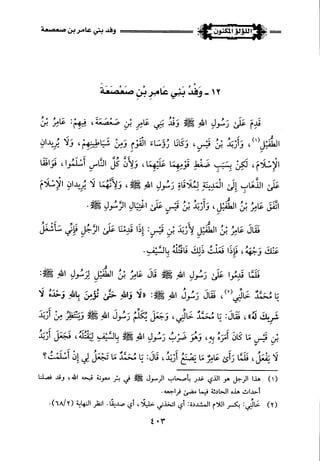 اللؤلؤ المكنون في سيرة النبي المأمون