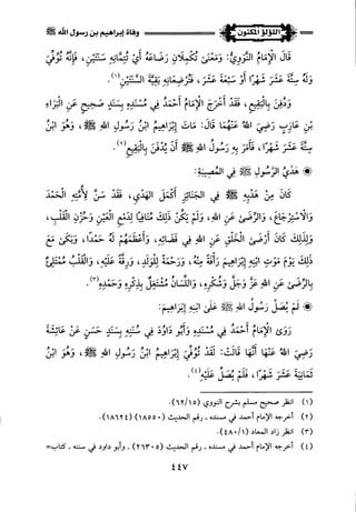 اللؤلؤ المكنون في سيرة النبي المأمون