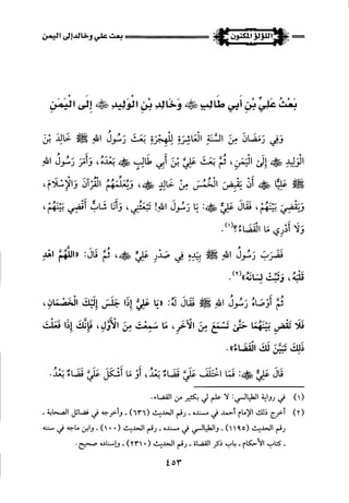 اللؤلؤ المكنون في سيرة النبي المأمون