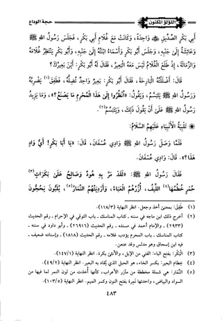 اللؤلؤ المكنون في سيرة النبي المأمون