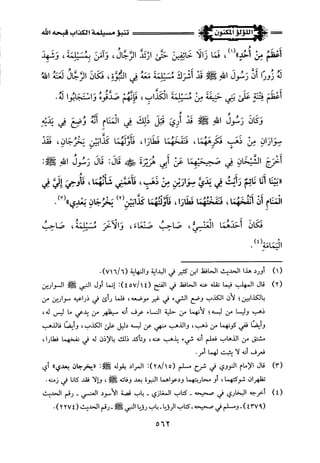 اللؤلؤ المكنون في سيرة النبي المأمون