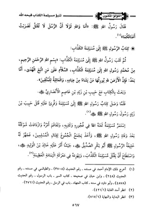 اللؤلؤ المكنون في سيرة النبي المأمون