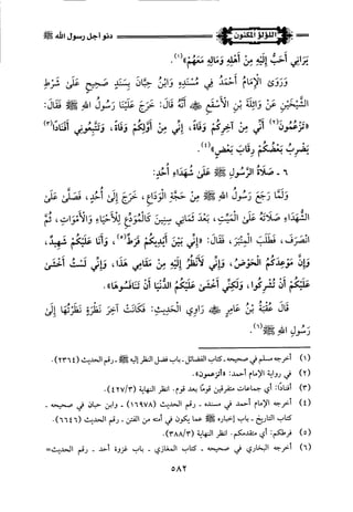 اللؤلؤ المكنون في سيرة النبي المأمون