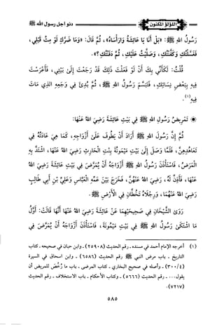 اللؤلؤ المكنون في سيرة النبي المأمون