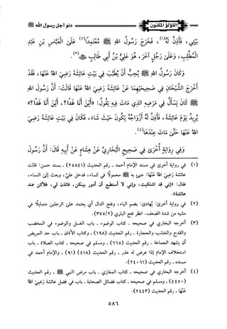 اللؤلؤ المكنون في سيرة النبي المأمون