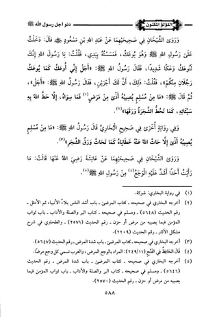 اللؤلؤ المكنون في سيرة النبي المأمون