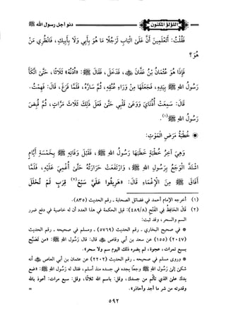 اللؤلؤ المكنون في سيرة النبي المأمون