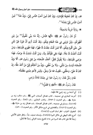 اللؤلؤ المكنون في سيرة النبي المأمون